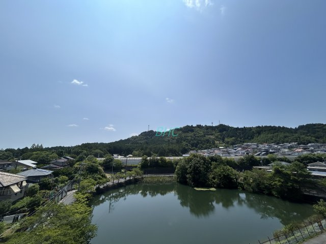 お部屋にも爽やかな風と暖かく柔らかな日差しが差し込み、毎日の暮らしを豊かに彩ります。