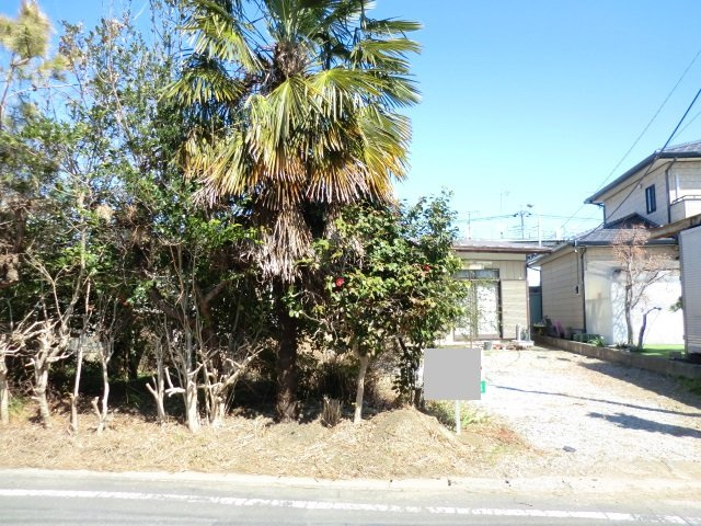 外観：310000086968