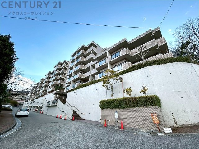 外観：328000584842