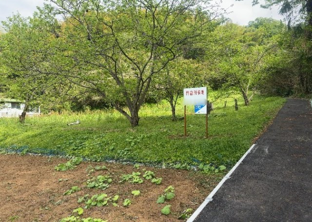 外観：314002369815