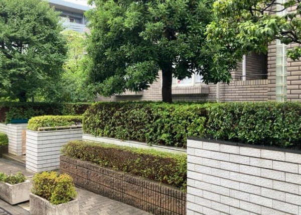 コープ野村緑山ヒルズ弐番館の庭