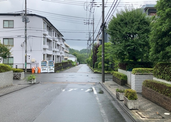 コープ野村緑山ヒルズ弐番館の展望