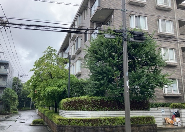 コープ野村緑山ヒルズ弐番館の外観