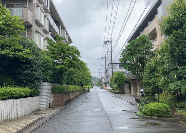 コープ野村緑山ヒルズ弐番館の展望
