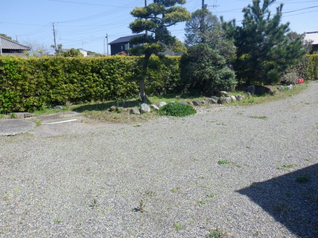 庭