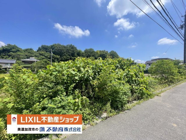 展望