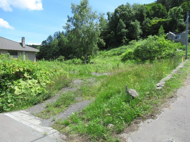 外観：301000102875