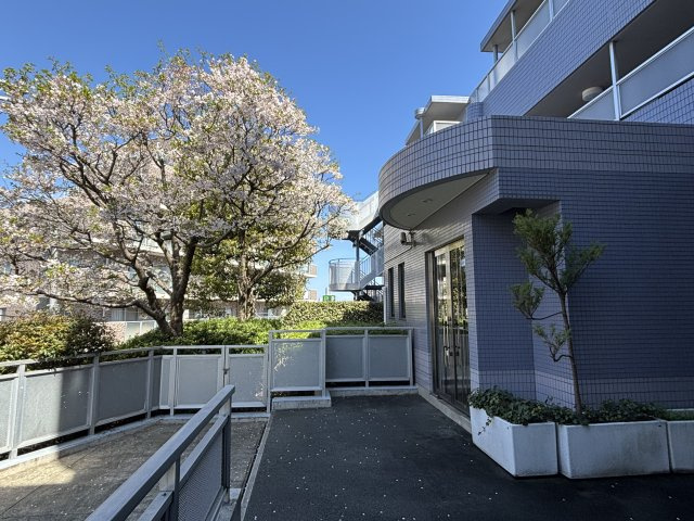 春になると一層華やかになるエントランス前の植栽。