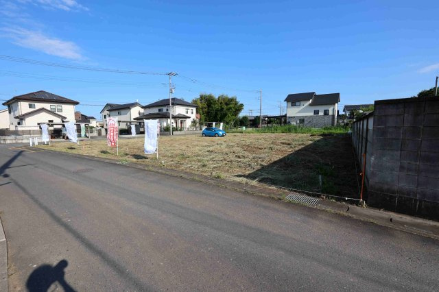 北西側から撮影