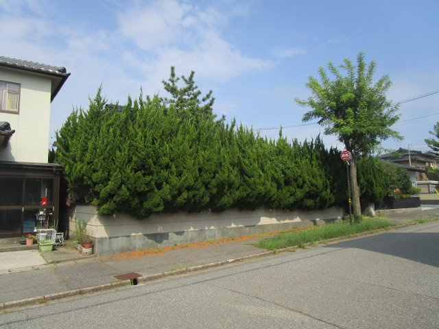 外観：317000012161