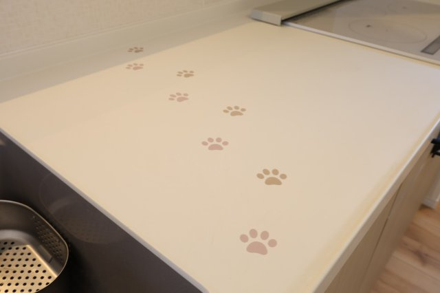 天板に施されたワンポイントデザインが、キッチンに個性を添えています。　シンプルな空間にほどよいアクセントを与える仕上がりです。