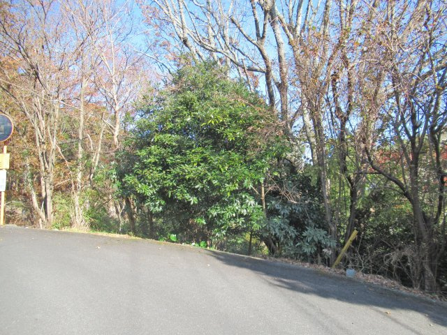 外観：322000574468