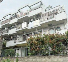 外観：313004584599