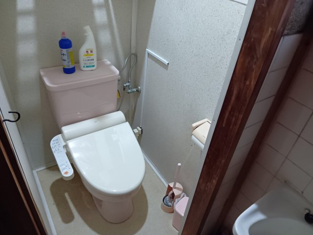 窓から光が差し込む明るいトイレです。