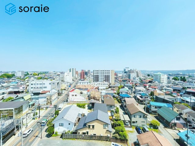 2026/5/15撮影