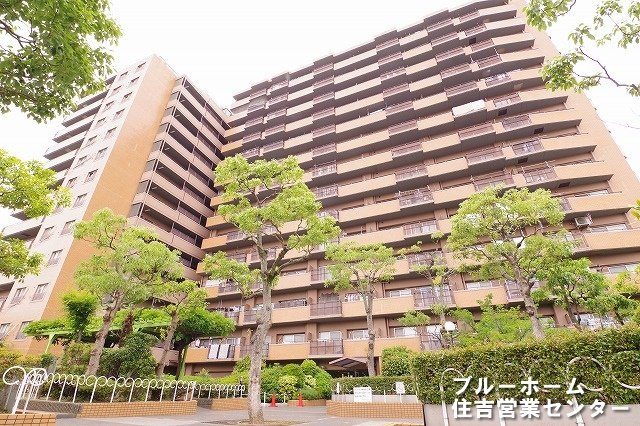 外観：327002247099