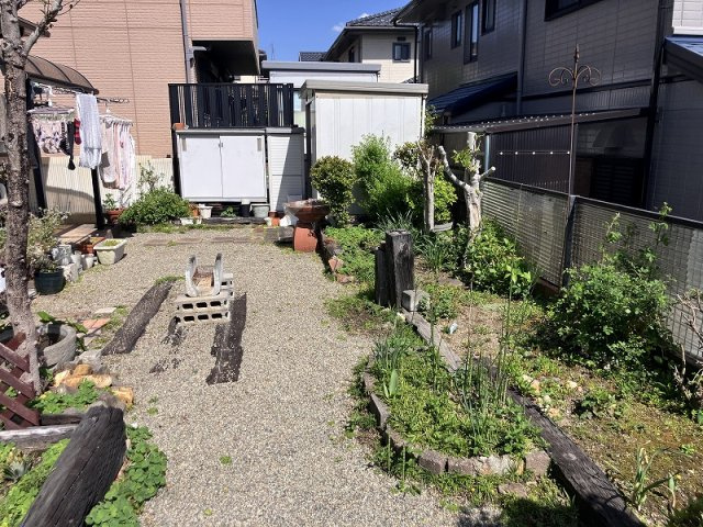 庭