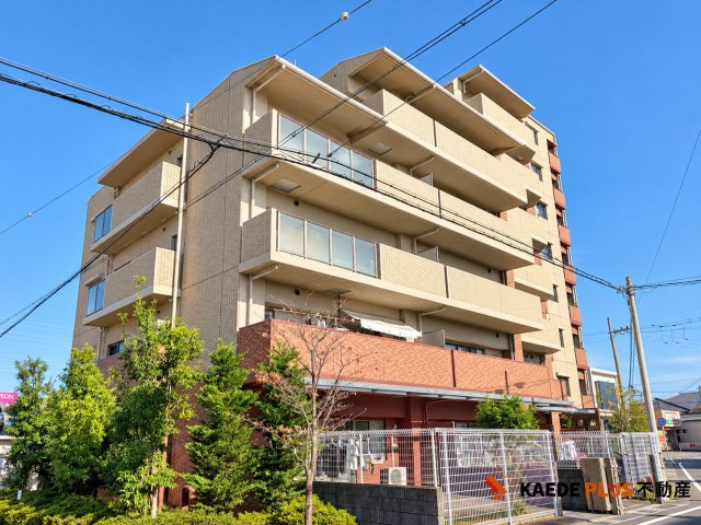外観：325000133063