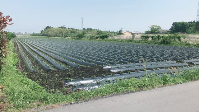 外観：346000012103