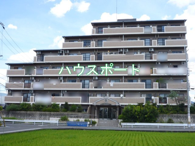 外観：326000269153