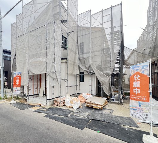 2026年7月30日撮影
