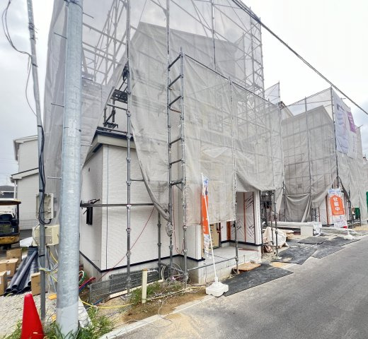 2026年7月30日撮影