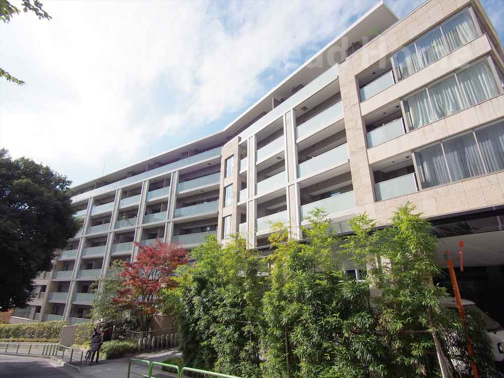 外観：313004533097