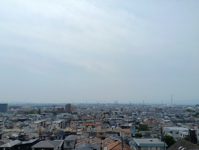 展望