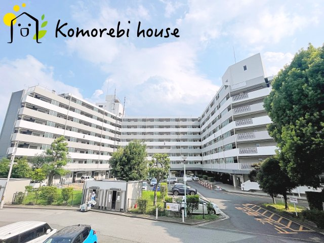 26.7.24撮影済み