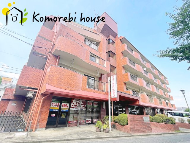 26.7.24撮影済み