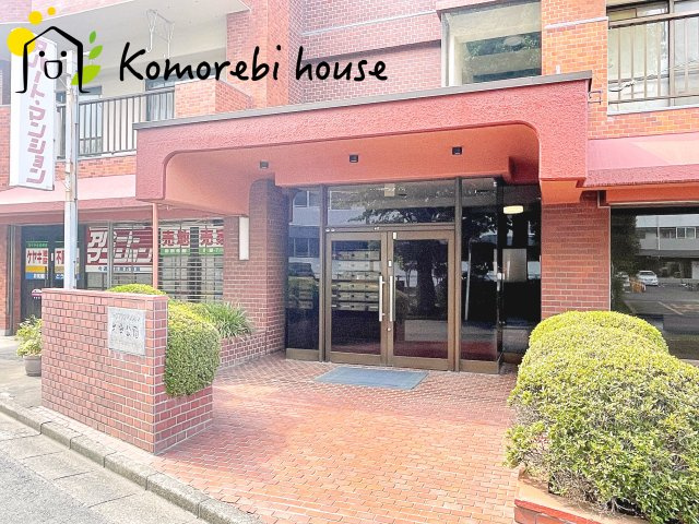 26.7.24撮影済み