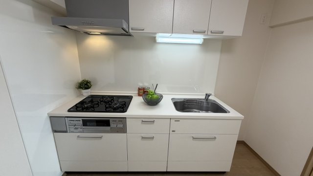 システムキッチン浄水機能付水栓
