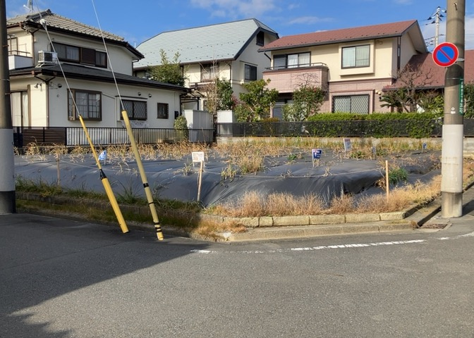 外観：313004545354