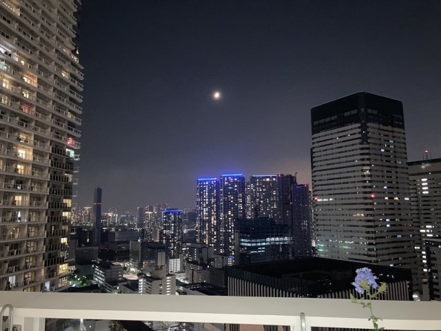 展望