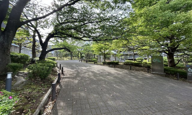 隣接地の公園から続く緑豊かな景観が魅力的！
