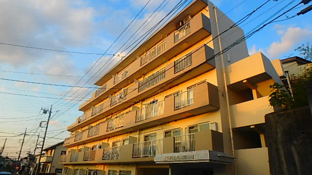 外観：311002323991