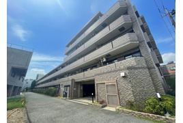 レクセルマンション石神井公園（成増店）の外観