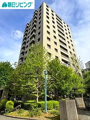 外観：313004666595