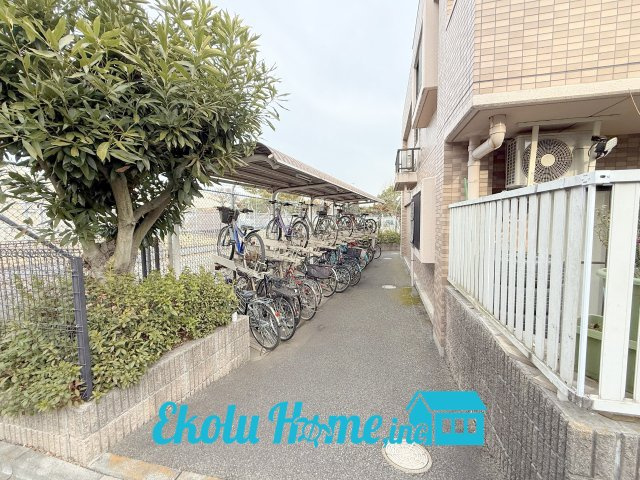 2026年02月　撮影