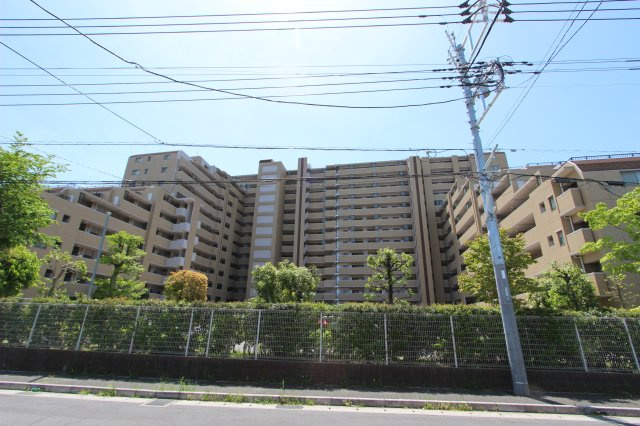 外観：312001006386