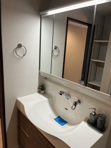 独立洗面台、小物を置くことができて便利です