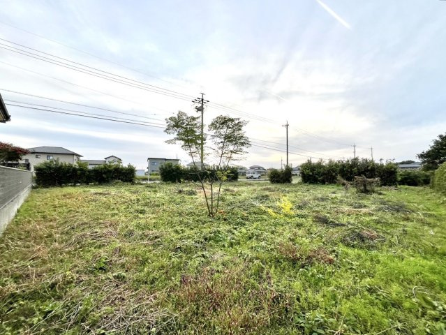 外観：322000573454