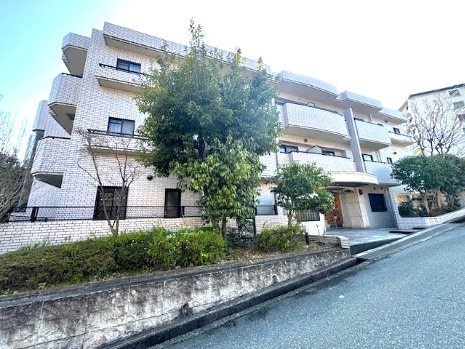 植栽や塀が目隠しになり、1階部分でも外からの視線が気になりにくいのも嬉しいポイント！植物があると季節の移り変わりも感じられますね。