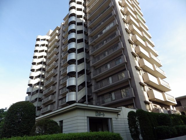 外観：313004566881