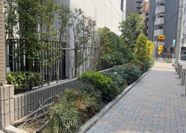 中庭（パティオ）とは、一つの建築物の内部に設けられた、壁などで囲われている庭のことを指します。コの字型、ロの字型が主流ですが、L字型の中庭もあります。最近では、インテリア性の高さからも人気があります。