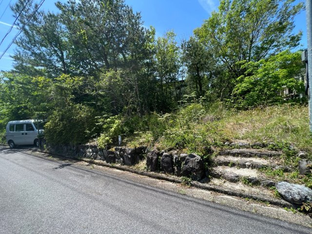 外観：325000118161