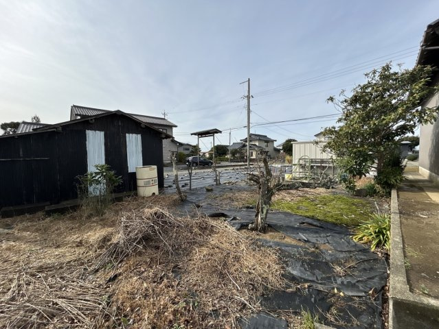 現地写真