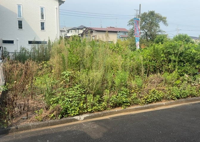 外観：314002427851