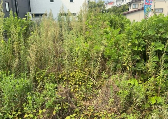 隣家の土地はどうなっているのか、生活利便施設が近くにあるのか、学校まで近いかなど、お客様のライフスタイルにあわせたイメージが重要です。また、近くにあると困る施設が近くにないかも確認するといいでしょう。