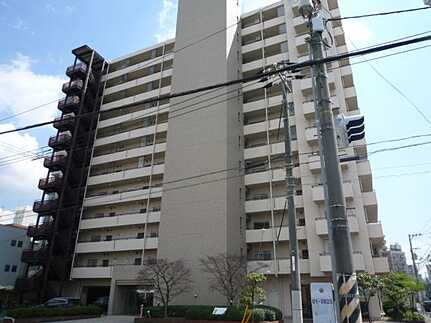 外観：334000267450